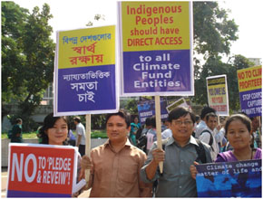 Some indigenous green activists