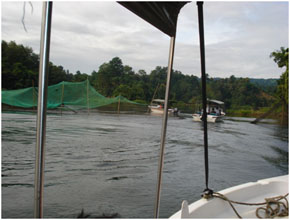 The convoy of speed boats carrying the distinguished guests is heading towards Uttar Hattoli village through the waterways of scenic Kaptai Lake