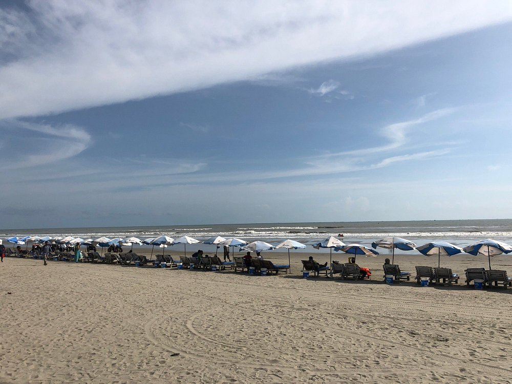 Climate change and biodiversity